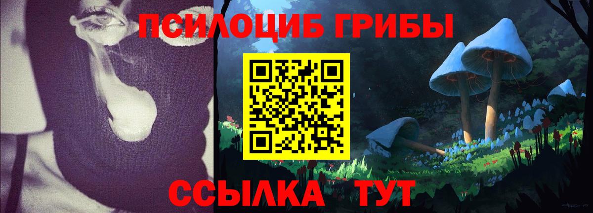 закладка  Вход с VPN  Галлюциногенные грибы мицелий  Кашира  Псилоцибиновые грибы Cubensis 